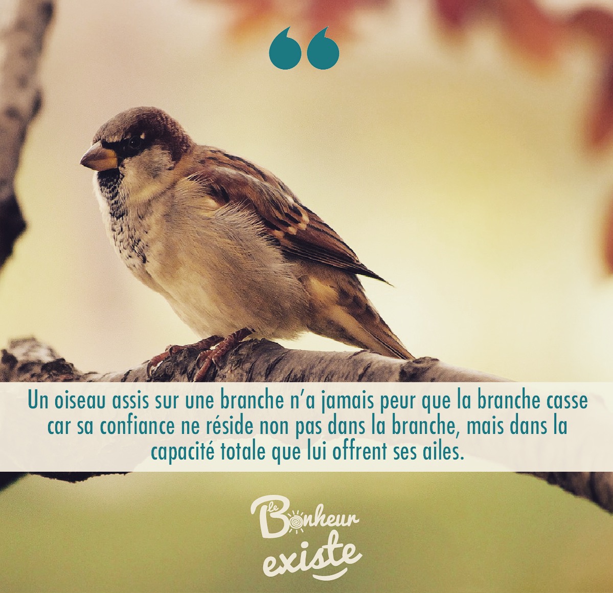 Un-oiseau-n'a-jamais-peur-que-la-branche-casse-car-sa-confiance-ne-réside-non-pas-dans-la-branche-mais-dans-la-capacité-totale-qui-lui-offrent-ses-ailes.JPG